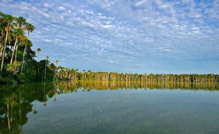 Tambopata National Reserve, Madre de Dios Region, Peru